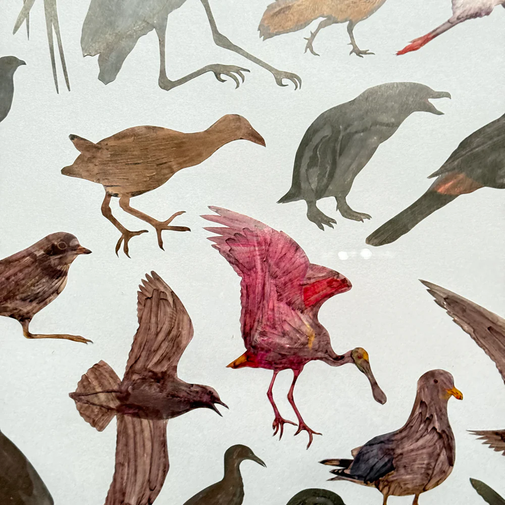 Framed Mike Miller Bird Silhouette Collage - Image 5