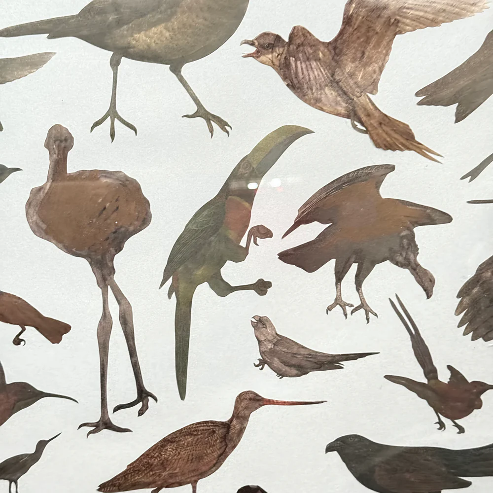 Framed Mike Miller Bird Silhouette Collage - Image 8